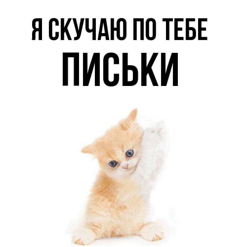 Открытка  с именем. Письки, Я скучаю по тебе  