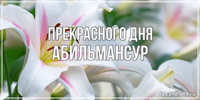 Картинка Прекрасного дня, Абильмансур