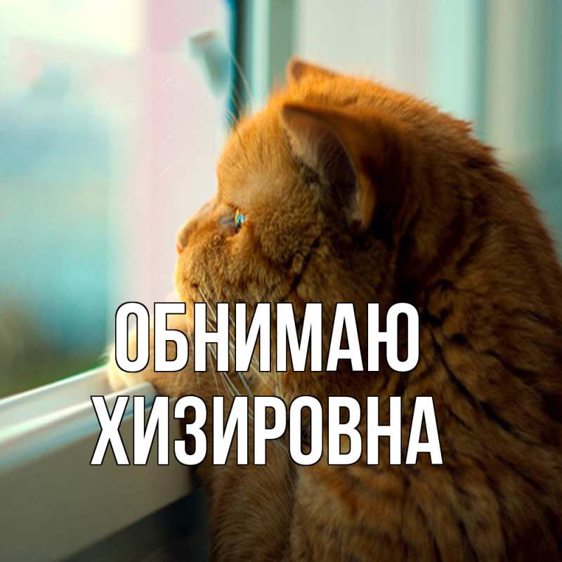 Картинка Обнимаю, Хизировна