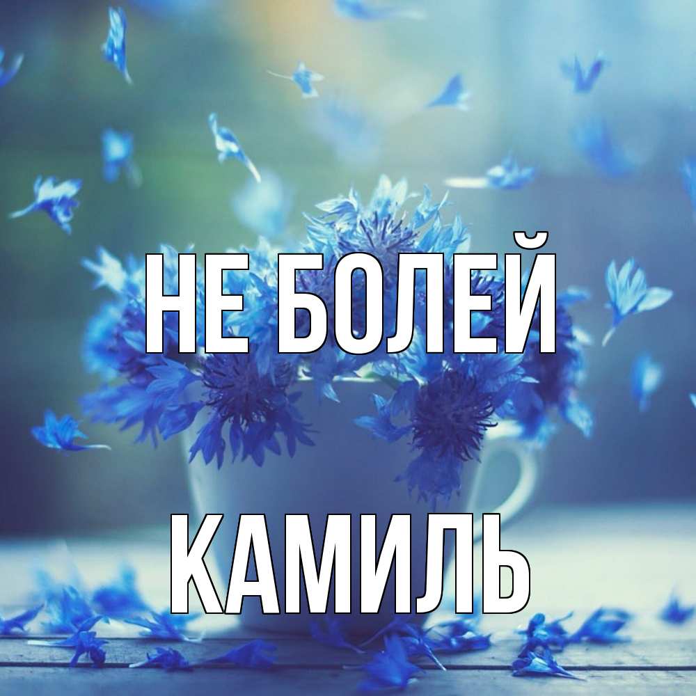 Открытка  с именем. Камиль, Не болей  