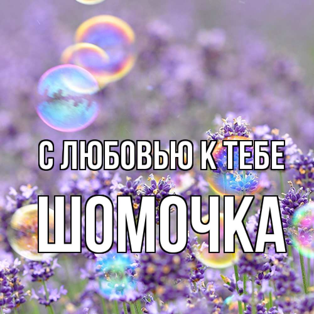 Открытка  с именем. Шомочка, С любовью к тебе  