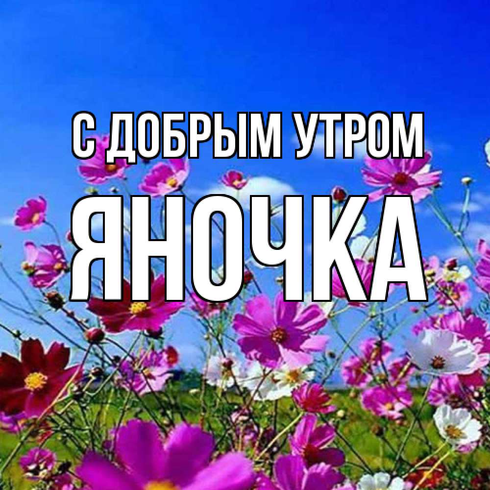 Открытка  с именем. Яночка, С добрым утром  