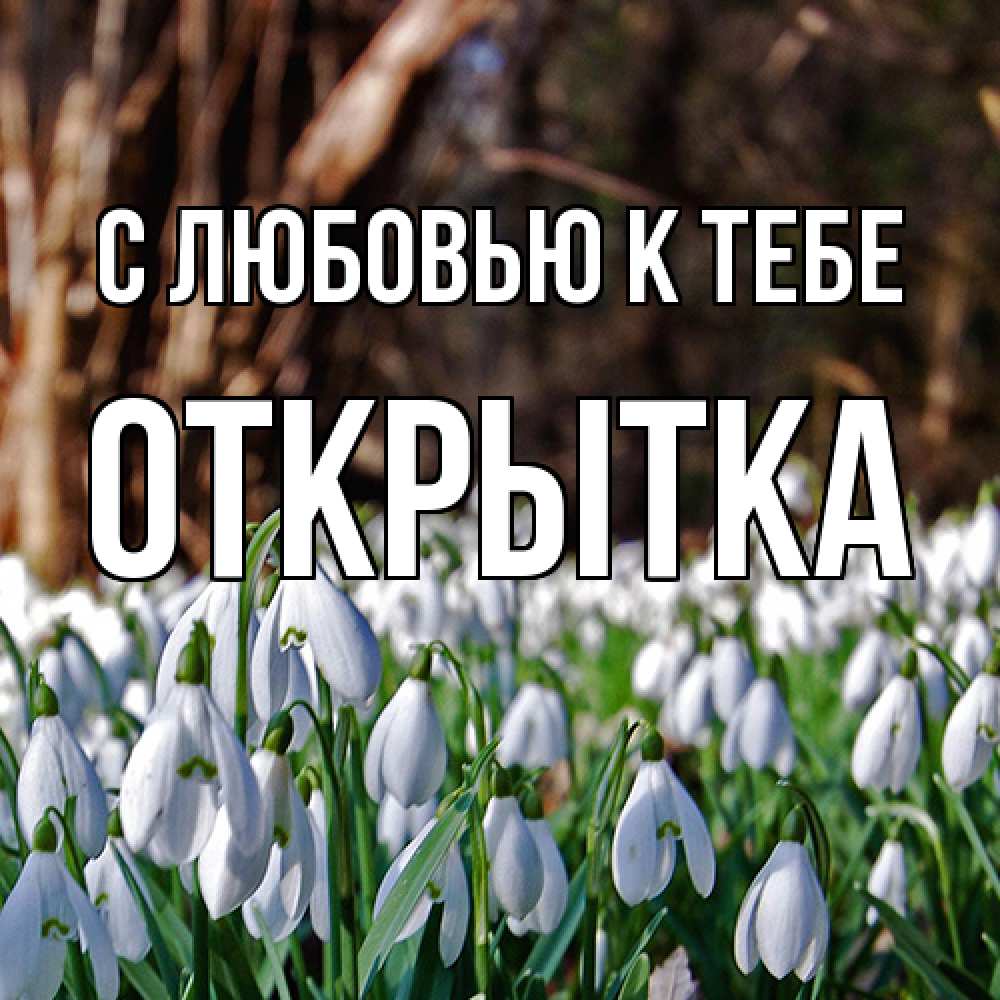 Открытка  с именем. открытка, С любовью к тебе  