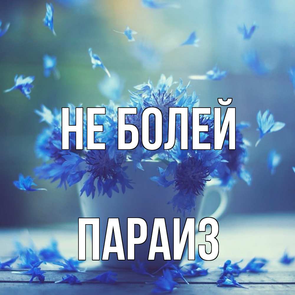 Открытка  с именем. Параиз, Не болей  