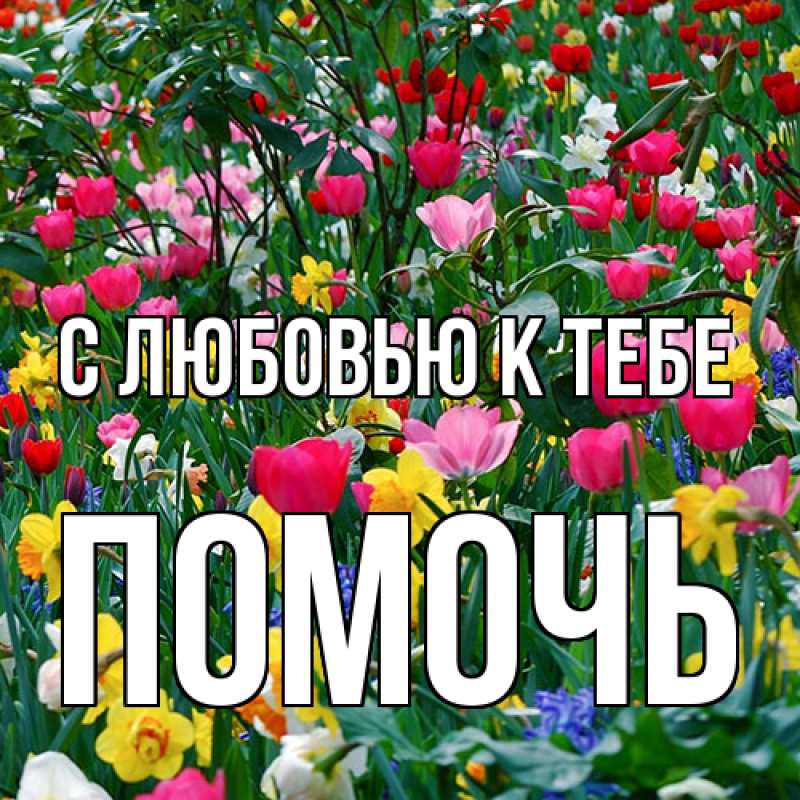 Картинка С любовью к тебе, Помочь