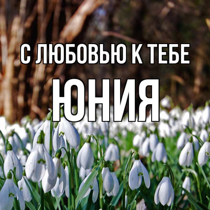 Картинка С любовью к тебе, Юния