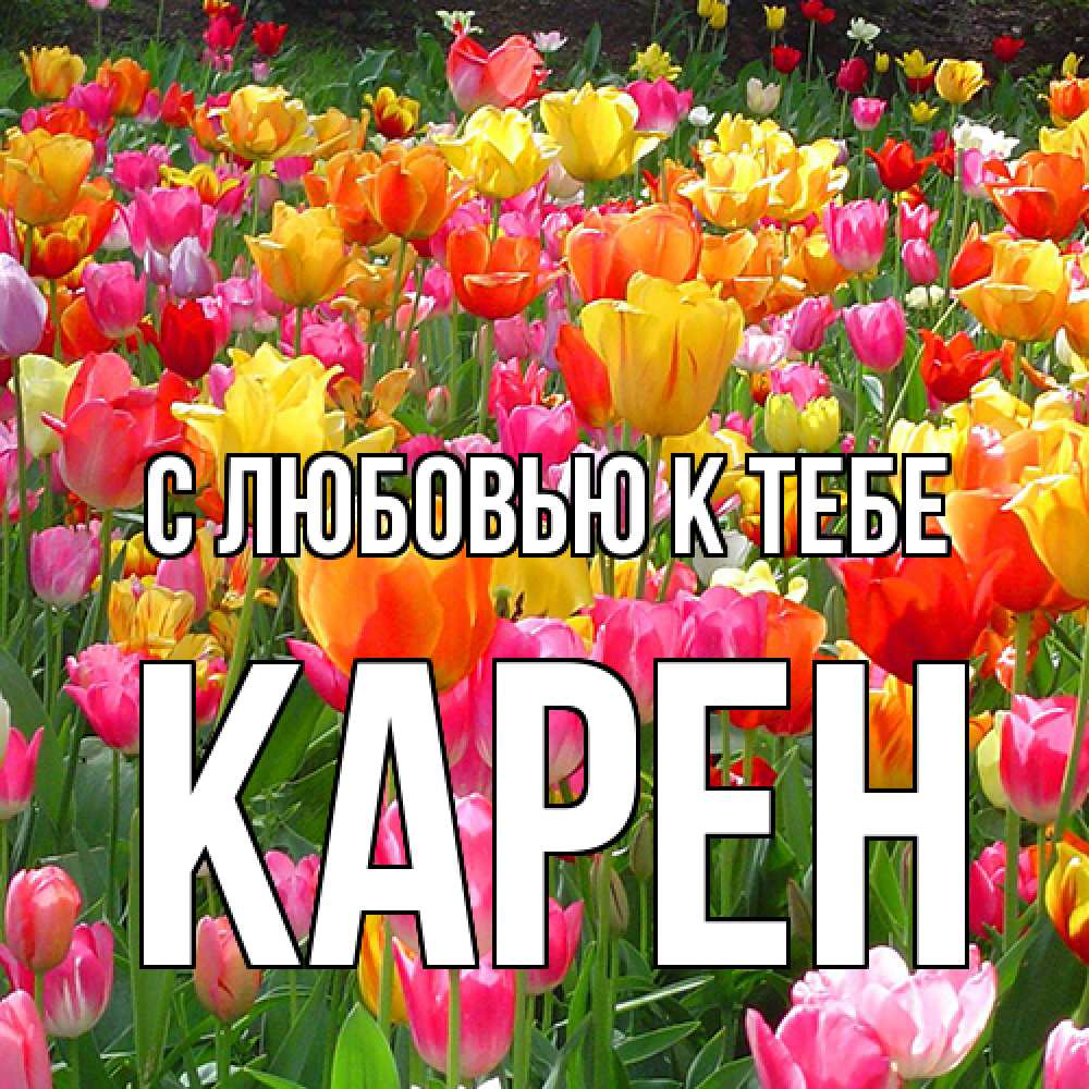 Открытка  с именем. Карен, С любовью к тебе  