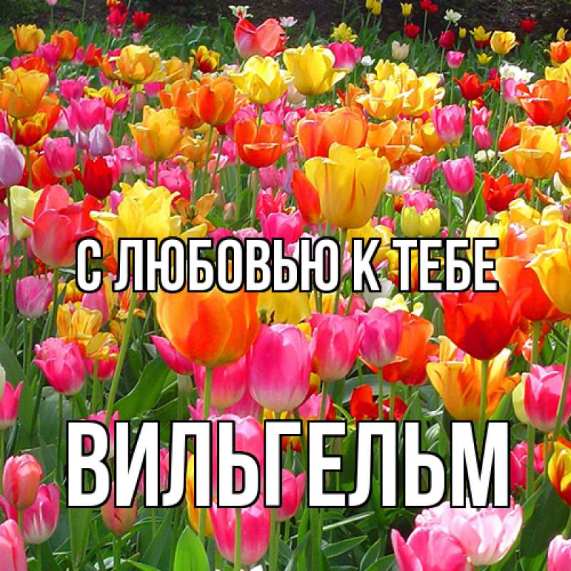 Картинка С любовью к тебе, Вильгельм