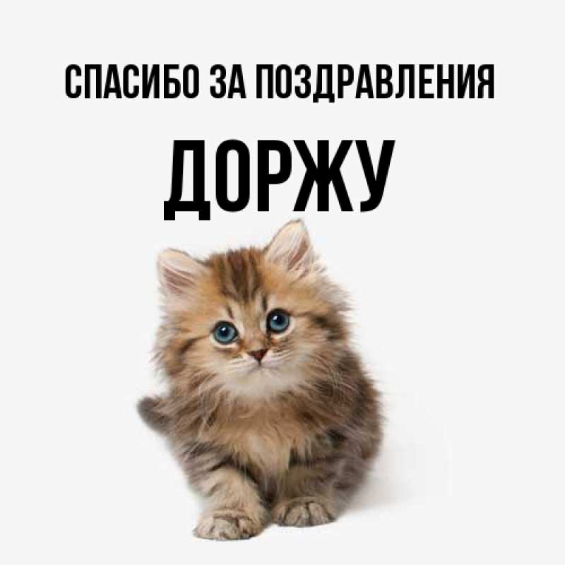 Картинка Спасибо за поздравления, Доржу