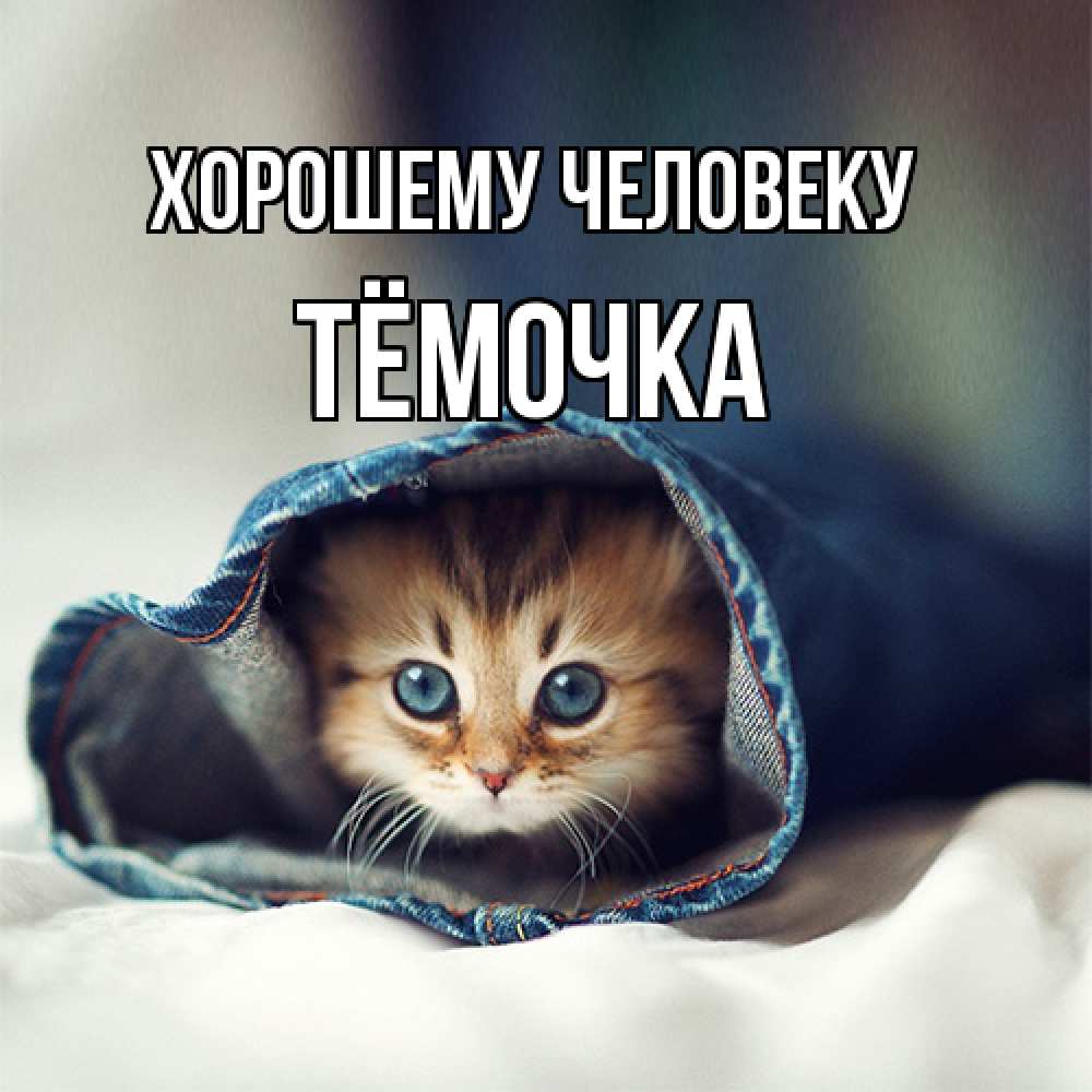 Открытка  с именем. Тёмочка, Хорошему человеку  