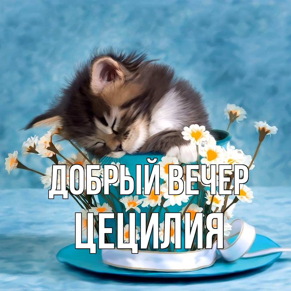 Открытка  с именем. Цецилия, Добрый вечер  