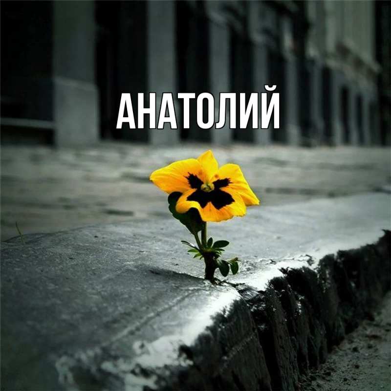 Картинка  с именем , Анатолий