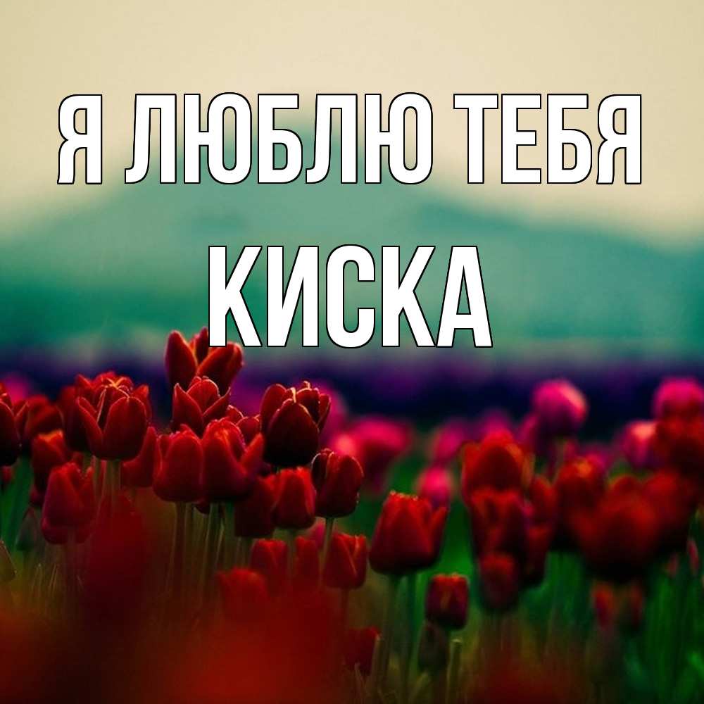 Открытка  с именем. Киска, Я люблю тебя  