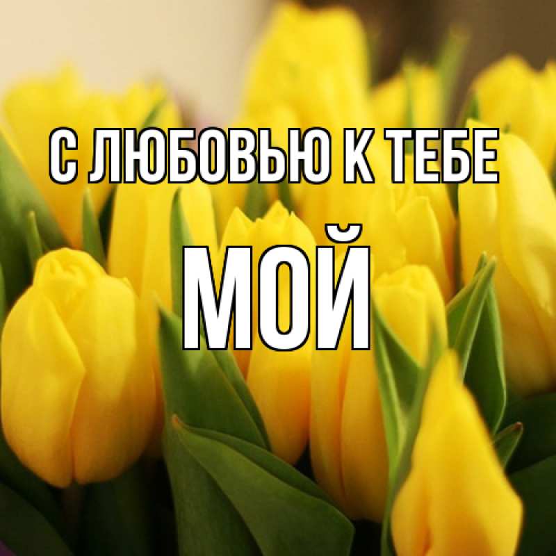 Картинка С любовью к тебе, Мой