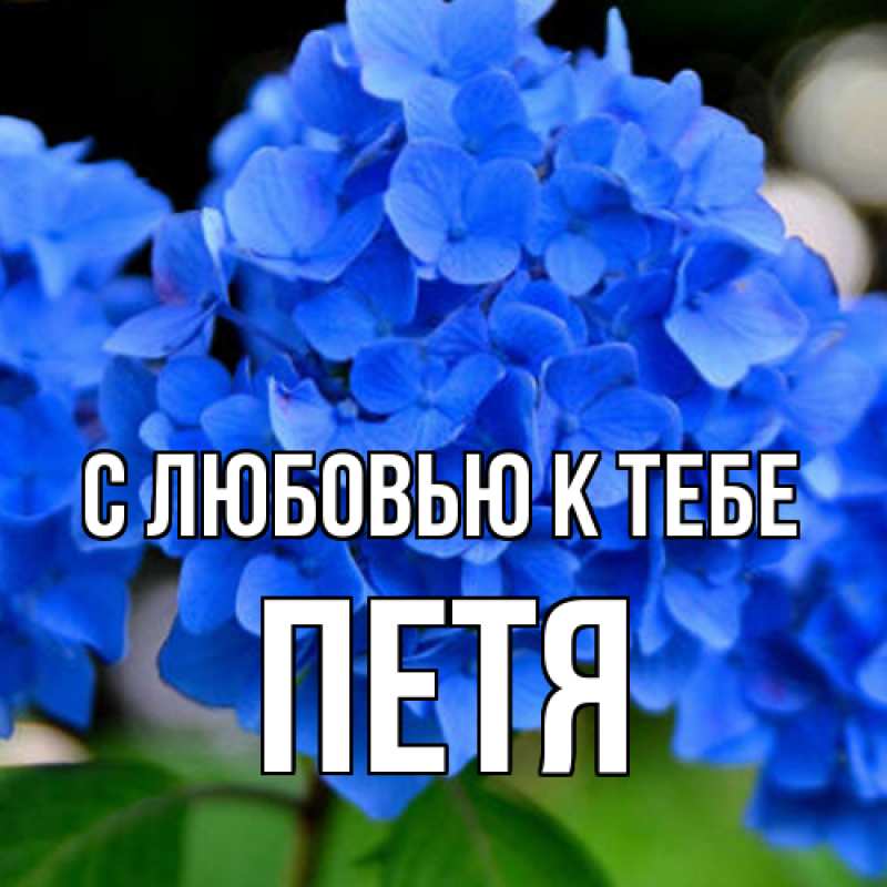 Картинка С любовью к тебе, Петя