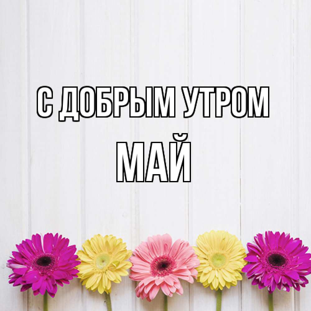 Открытка  с именем. Май, С добрым утром  