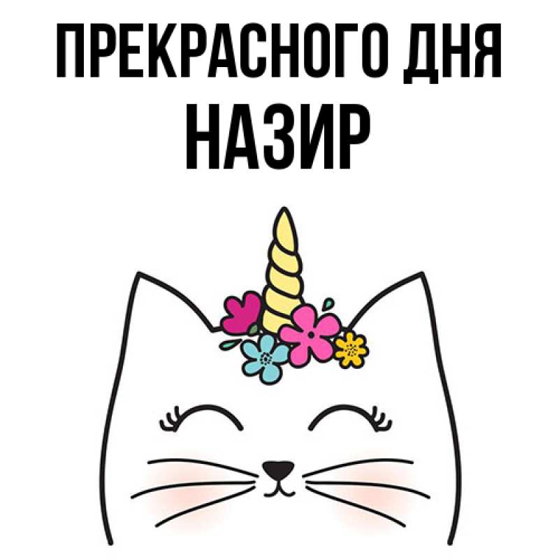 Картинка Прекрасного дня, Назир