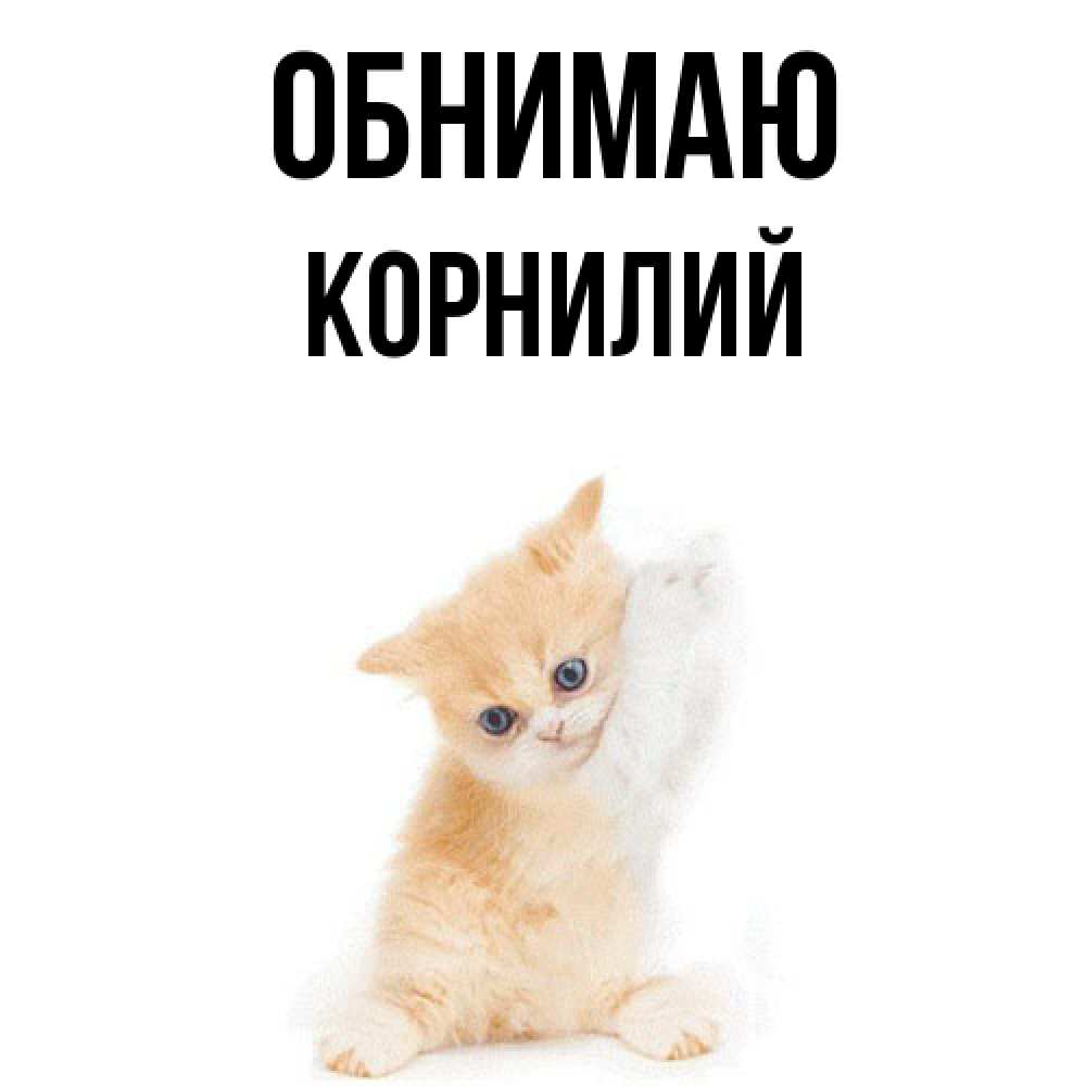 Открытка  с именем. Корнилий, Обнимаю  