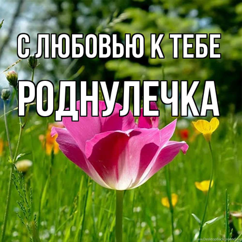 Открытка  с именем. Роднулечка, С любовью к тебе  