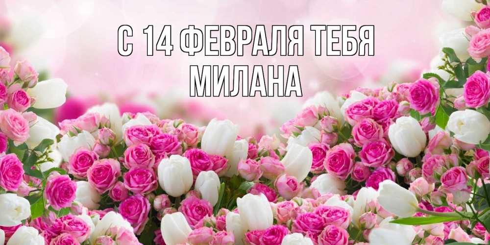Открытка  с именем. милана, С 14 февраля тебя  