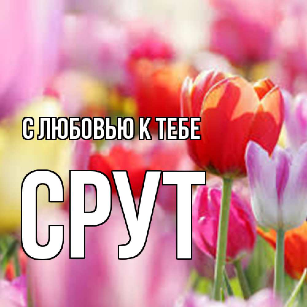 Открытка  с именем. срут, С любовью к тебе  