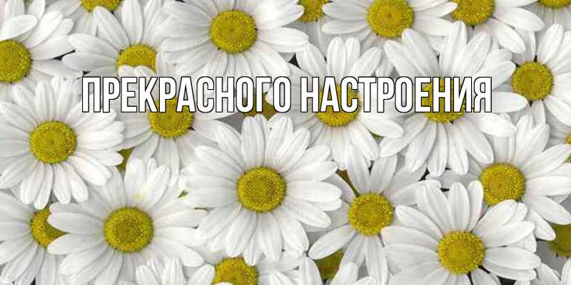 Картинка Прекрасного настроения, 