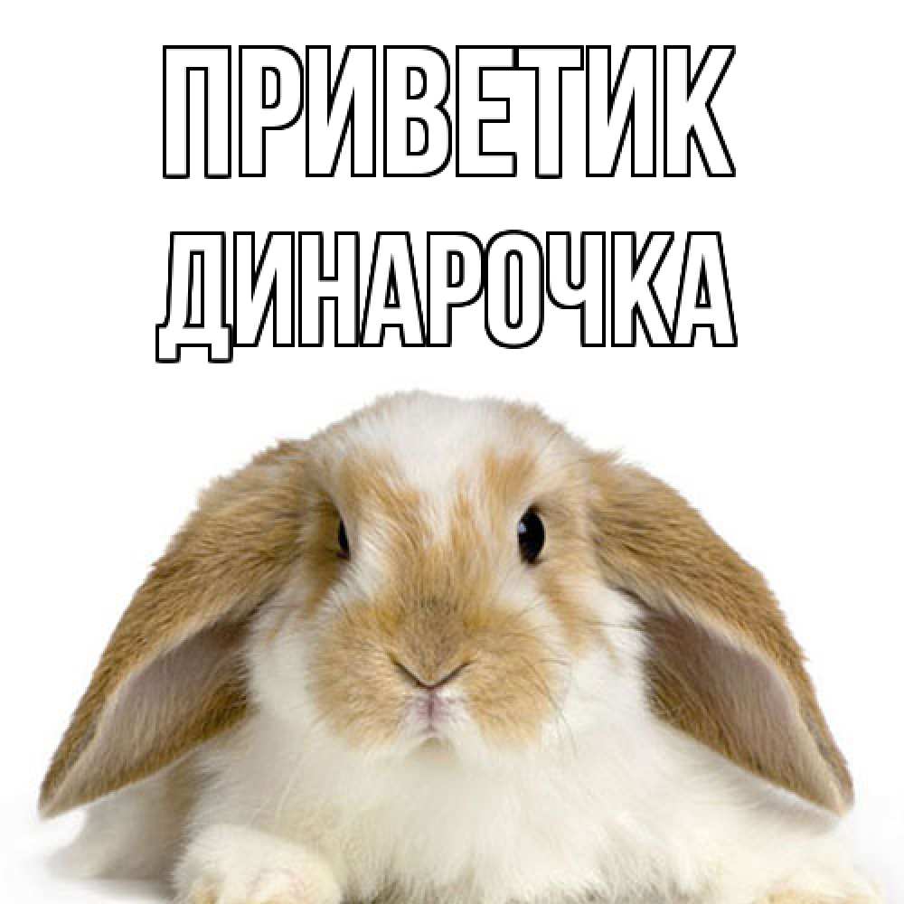 Открытка  с именем. Динарочка, приветик  