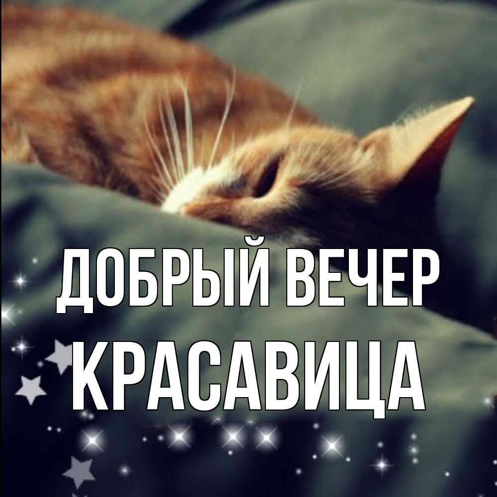 Открытка  с именем. Красавица, Добрый вечер  