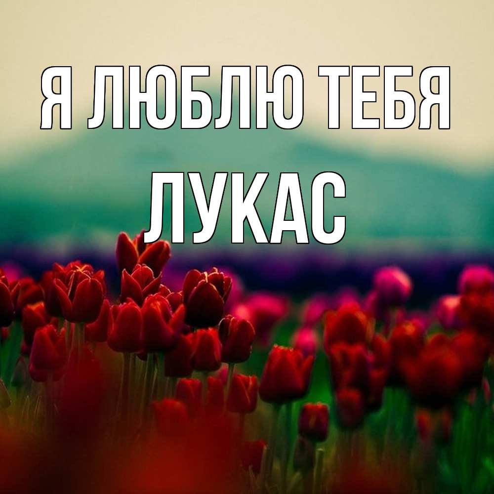 Открытка  с именем. Лукас, Я люблю тебя  