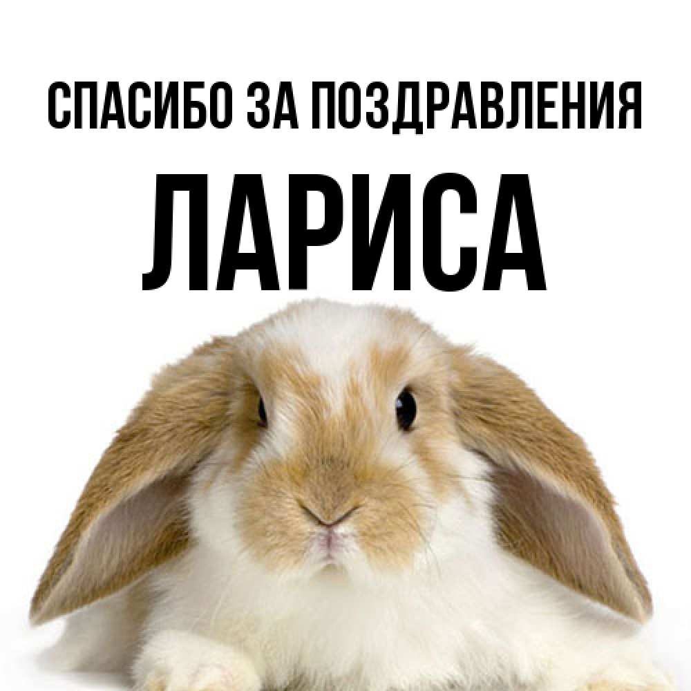 Открытка  с именем. Лариса, Спасибо за поздравления  
