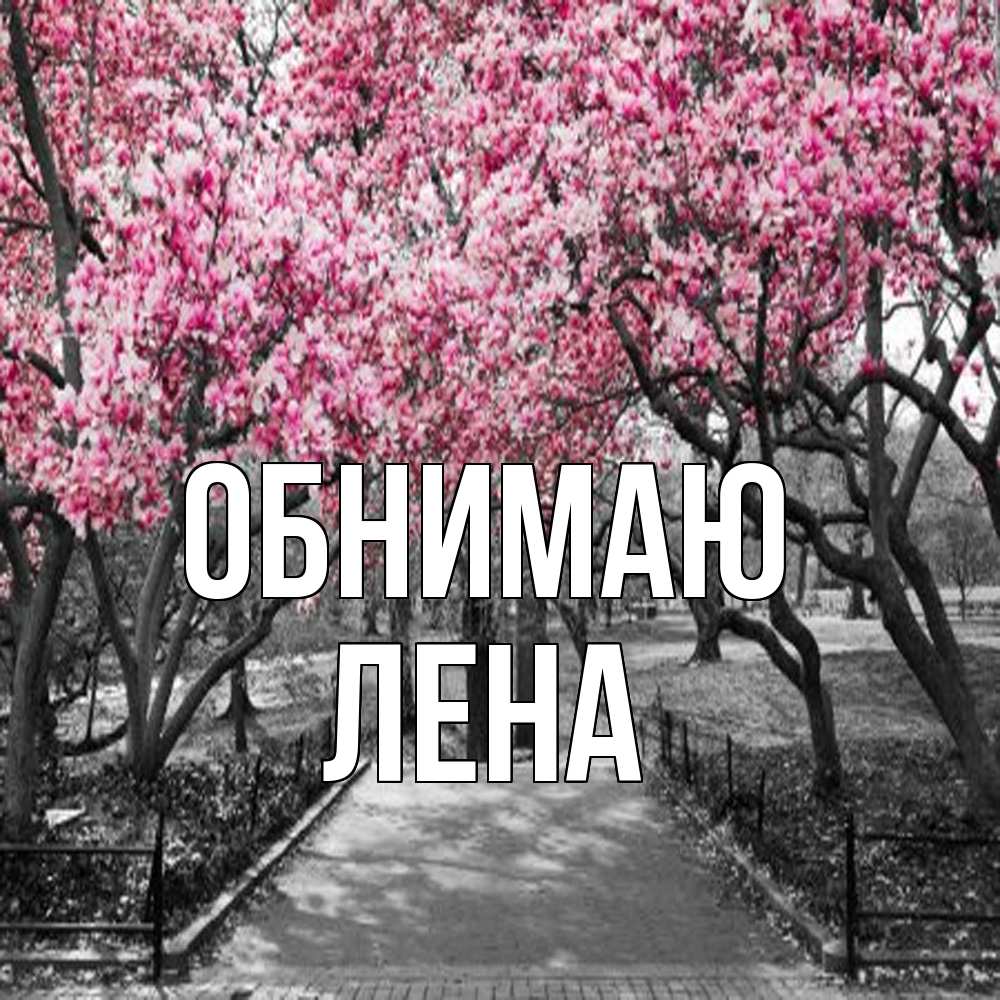 Открытка  с именем. Лена, Обнимаю  