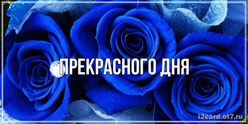 Картинка Прекрасного дня, 