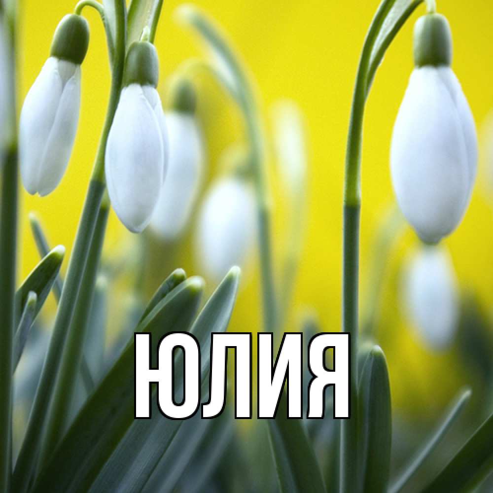 Открытка  с именем. Юлия, Главная  