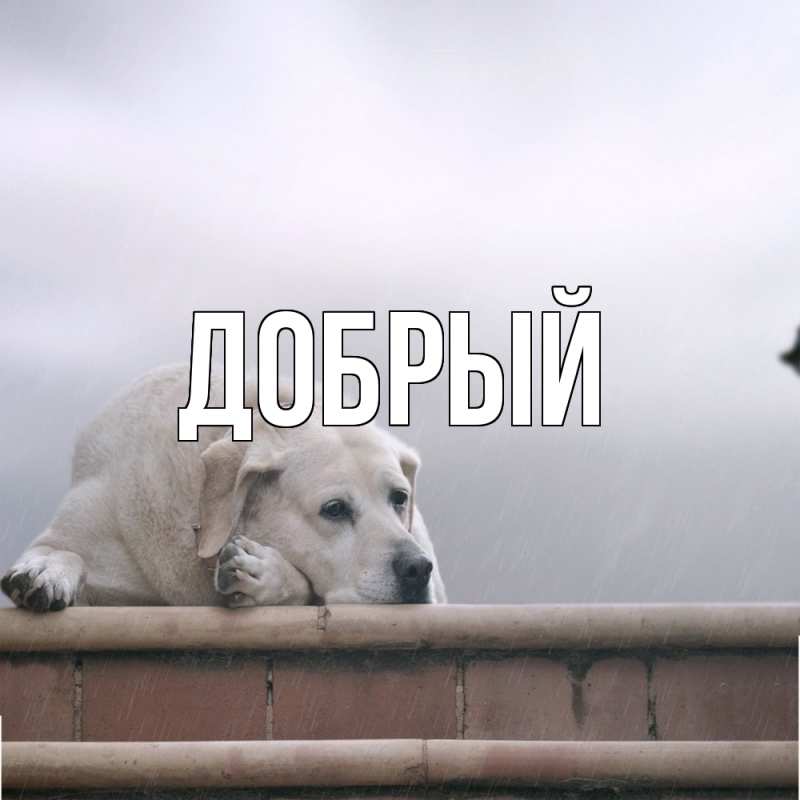 Картинка  с именем , Добрый
