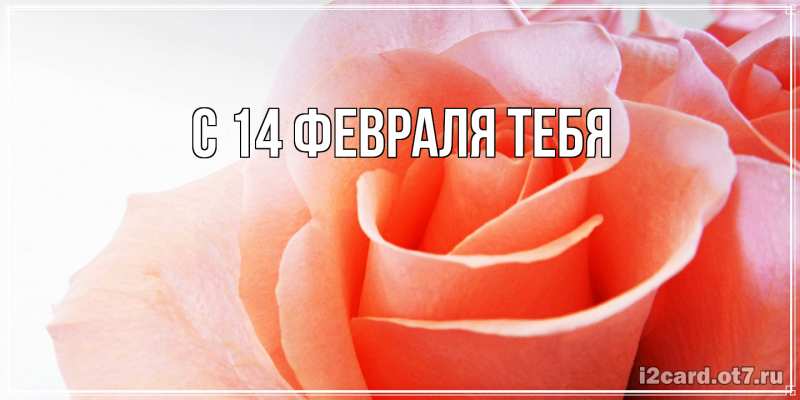 Картинка С 14 февраля тебя, 