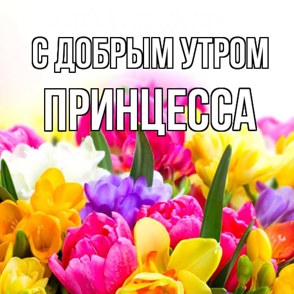 Открытка  с именем. Принцесса, С добрым утром  