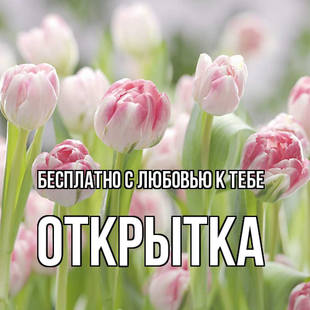 Открытка  с именем. открытка, С любовью к тебе  