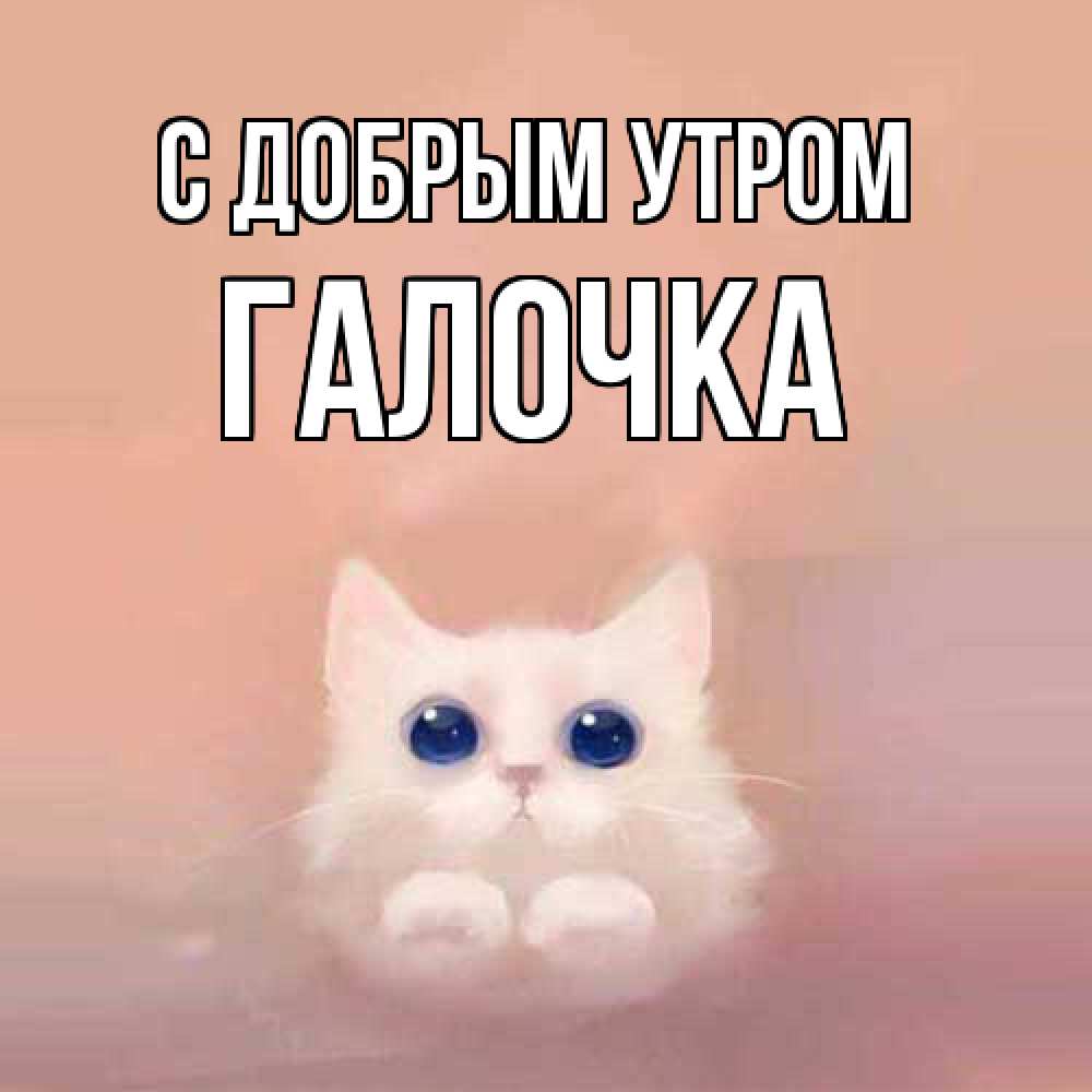 Открытка  с именем. Галочка, С добрым утром  