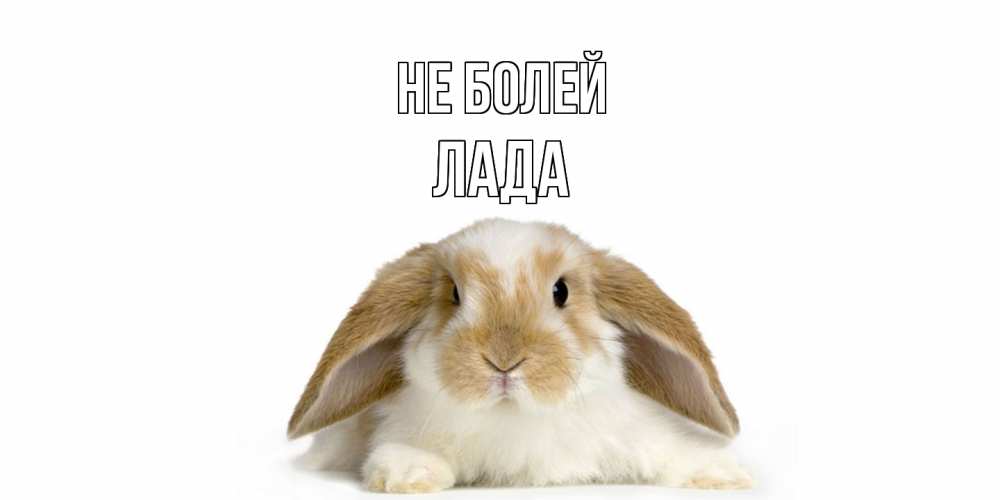 Открытка  с именем. Лада, Не болей  