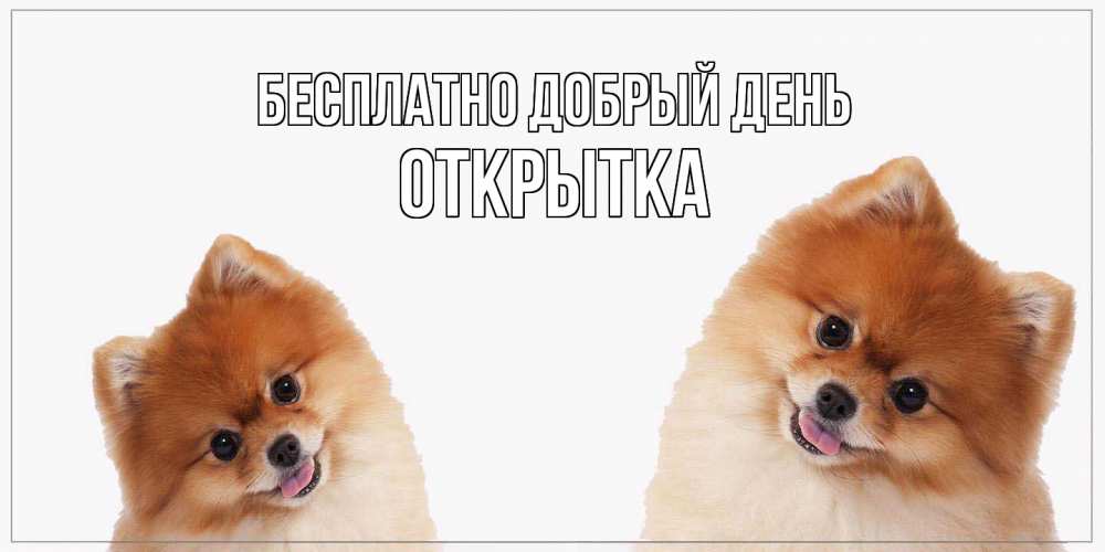 Открытка  с именем. открытка, Добрый день  