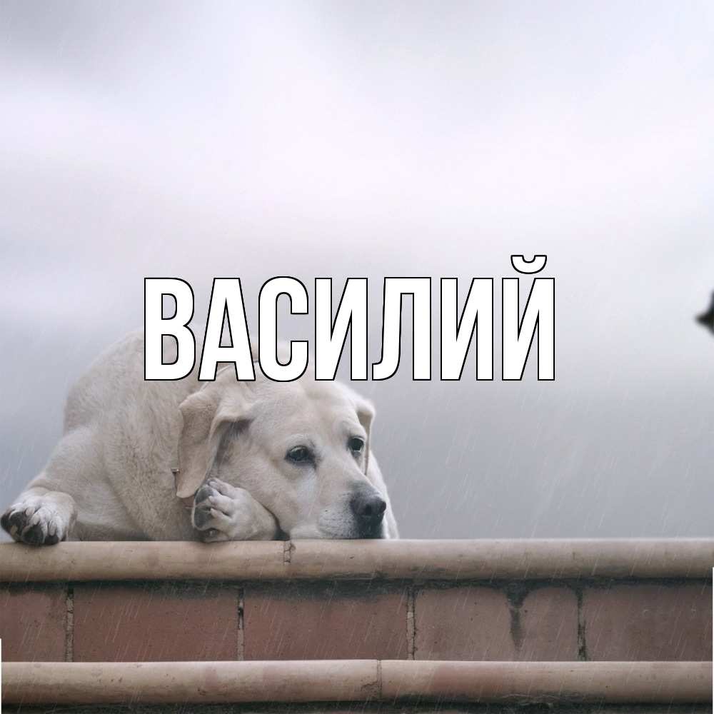 Открытка  с именем. Василий, Главная  