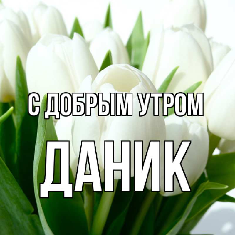 Картинка С добрым утром, Даник