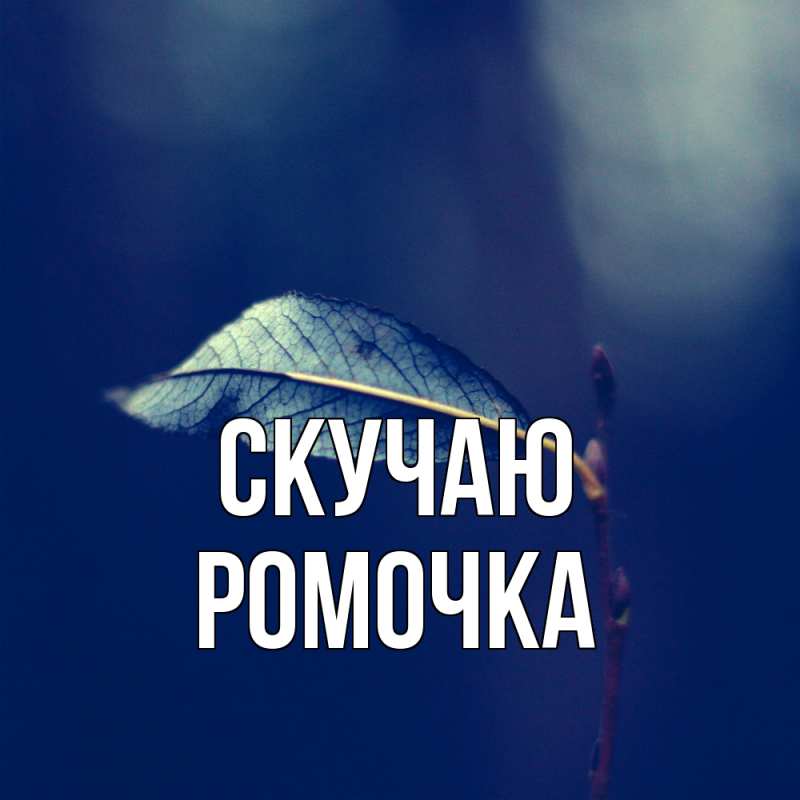 Картинка Скучаю, Ромочка