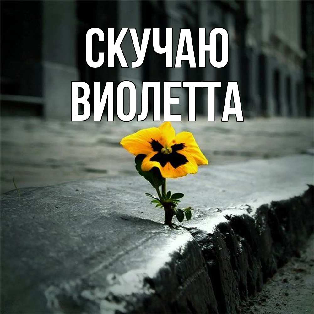 Открытка  с именем. Виолетта, Скучаю  