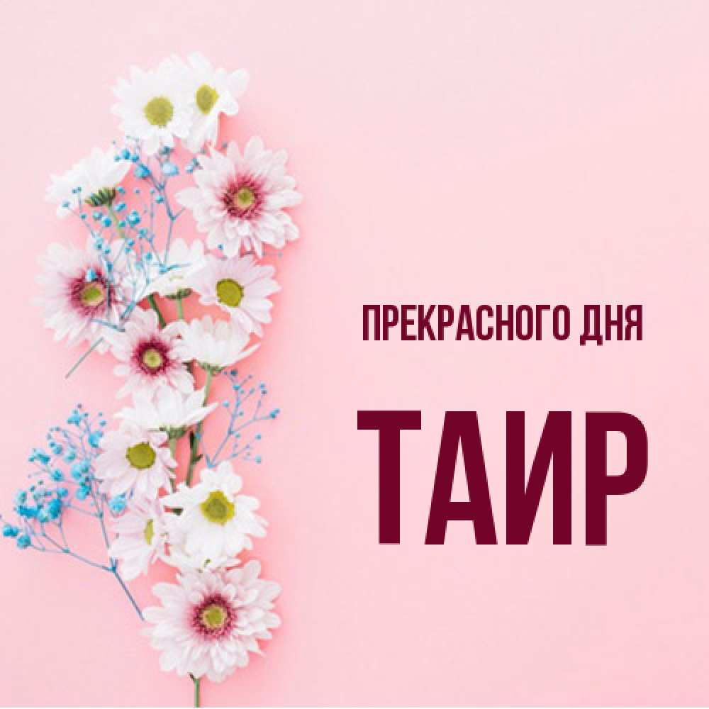 Открытка  с именем. Таир, Прекрасного дня  