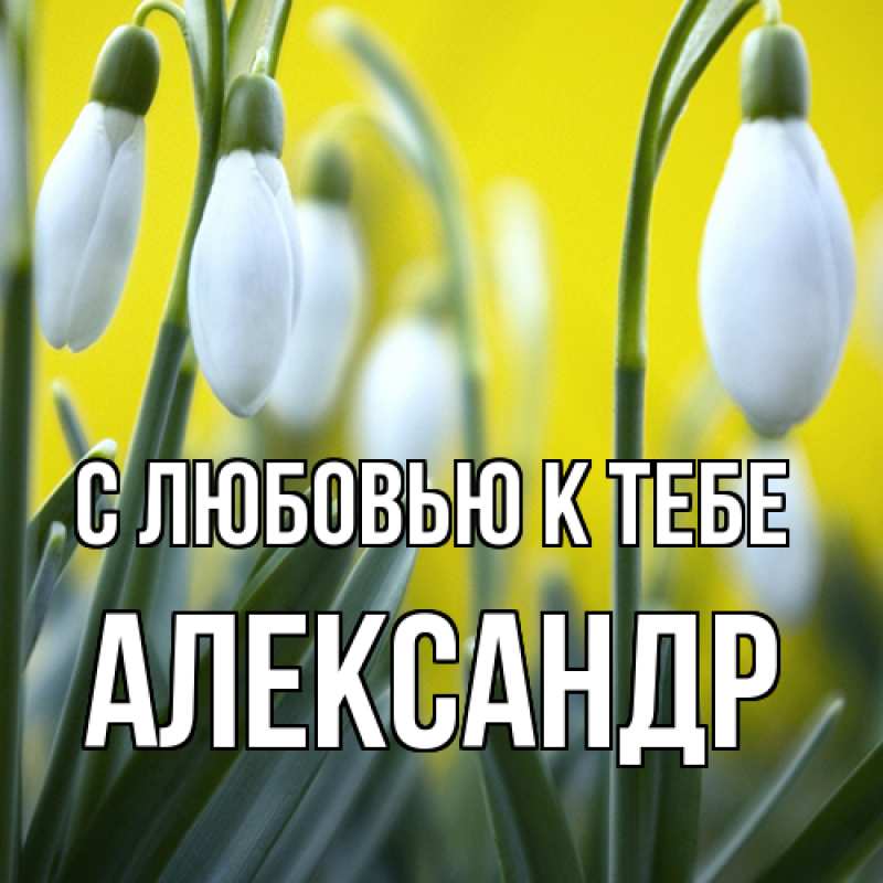 Картинка С любовью к тебе, Александр