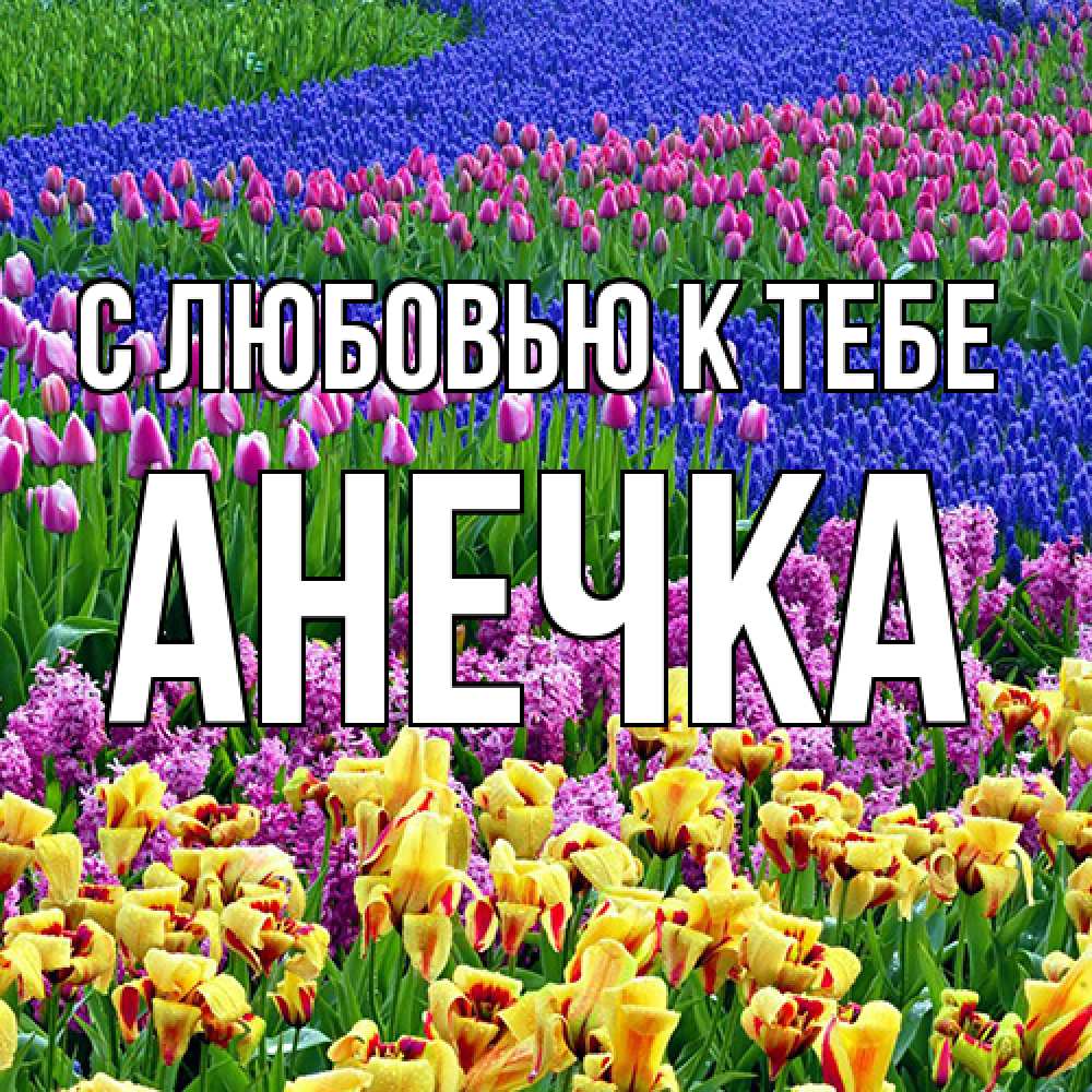 Открытка  с именем. анечка, С любовью к тебе  