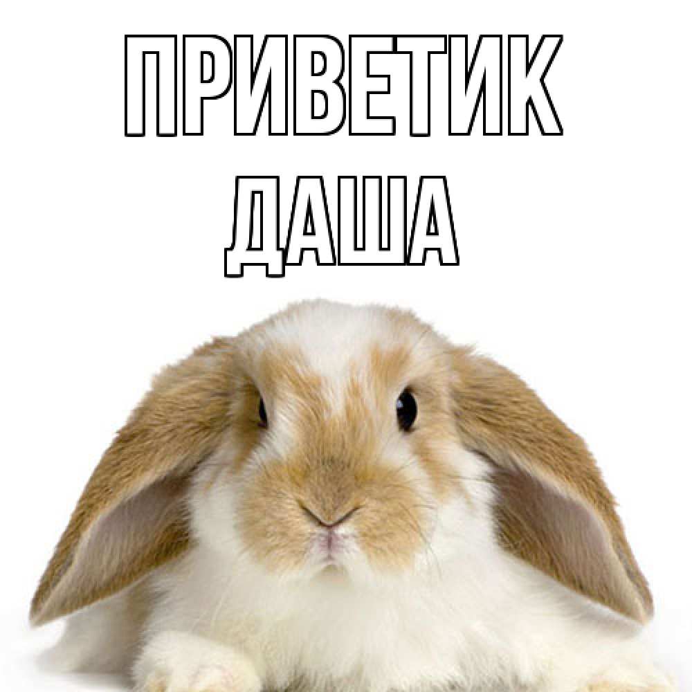 Открытка  с именем. Даша, приветик  