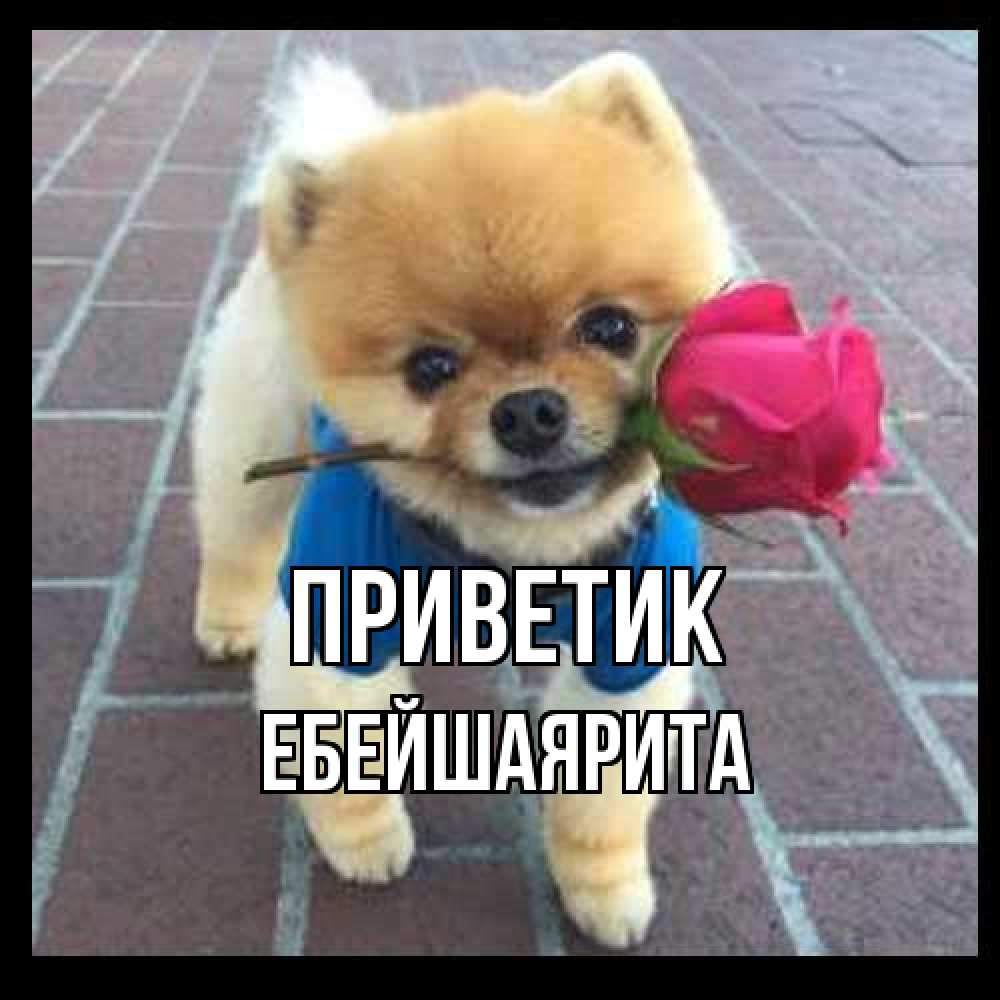 Открытка  с именем. ЕбейшаяРита, приветик  