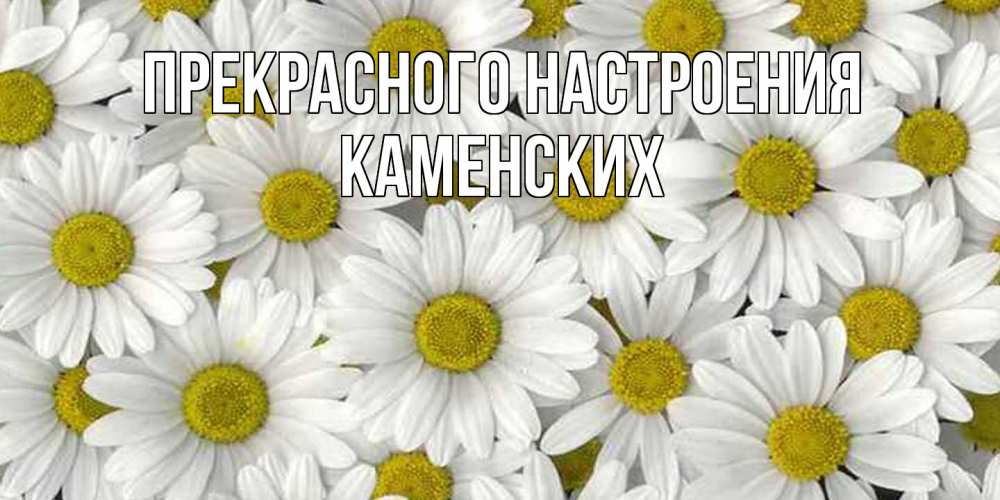 Открытка  с именем. Каменских, Прекрасного настроения  
